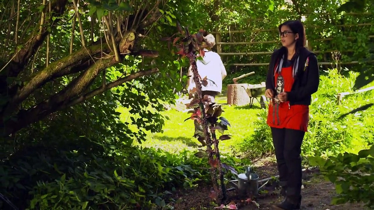 Fluch des Falken Staffel 1 Folge 57 HD Deutsch