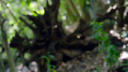 3% Staffel 2, Folge 8 - HD Deutsch