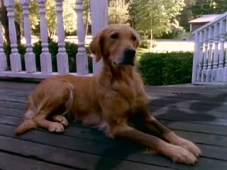 Gänsehaut - Die Stunde der Geister Staffel 2 Folge 5 HD Deutsch