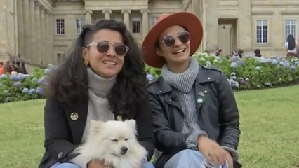 La historia detrás de la propuesta de matrimonio en la Plaza Núñez de Bogotá