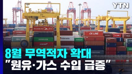 8월 1~20일 무역적자 102억 달러...누적 적자 255억 달러 / YTN