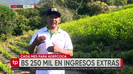 Coca: El dinero detrás del conflicto que aún no termina en La Paz