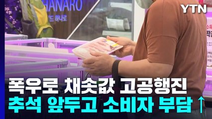 불안한 추석 물가..."폭우로 채솟값 더 올랐다" / YTN