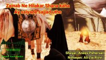 Zainab Ne Hilakar Shana kaha | Shayar: Anees Pehersari | Nohaqan: Ali Zia Rizvi | old Noha lyrics