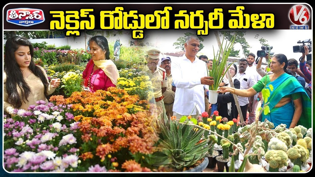 Variety Of Plants Attracts People In  Nursery Mela At Peoples Plaza _ Hyderabad _V6 Weekend Teenmaar