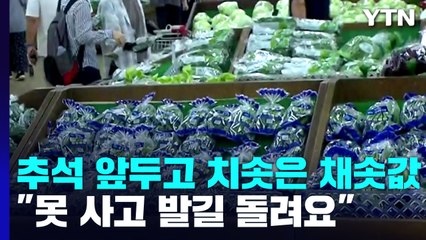 추석 앞두고 치솟은 채솟값..."못 사고 발길 돌려요" / YTN