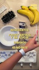 Delicioso helado para consentir a tu peludito