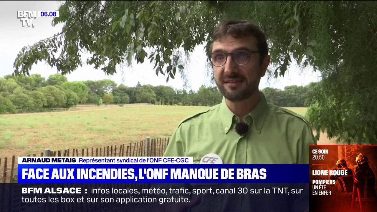 Malgré la multiplication des feux de forêts, l'Office national des forêts voit ses moyens humains se réduire