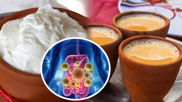दही खाने के बाद चाय पीने से क्या होता है ? Dahi Khane Ke Bad Chai Peene se kya hota hai *Health