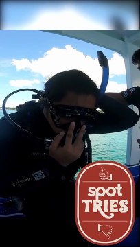 Spot Tries: Scuba Diving in Bohol