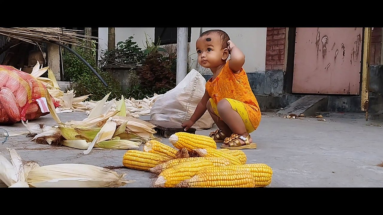 ভুট্টা ছাড়া খেলবেনা | ভুট্টা দিয়ে মজার খেলা | বাবুদের ফানি ভিডিও
