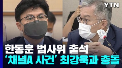 법사위서 한동훈·최강욱 '채널A 사건' 놓고 충돌 / YTN