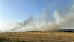 Manisa haberleri | Manisa'daki orman yangını kontrol altına alındı