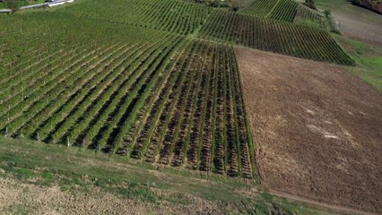 Session drone dans les champs