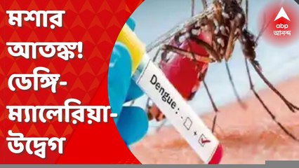 Malaria-Dengue : বৃষ্টির মধ্যেই জমা জলে মশার আতঙ্ক! ডেঙ্গি-ম্যালেরিয়া-উদ্বেগ । Bangla News