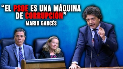 Mario Garcés (PP) tritura a Pedro Sánchez y Nadia Calviño: “El PSOE es una máquina de corrupción”