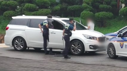 추격전 끝 살인미수 뺑소니범 잡은 전직 수구 국가대표 / YTN