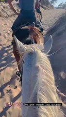 Alice Taglioni filmée par Laurent Delahousse, durant leur escapade à cheval, au Portugal