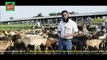 INDIA'S SUCCESSFUL SHEEP & GOAT FARM AND HYGENE  MEAT MART