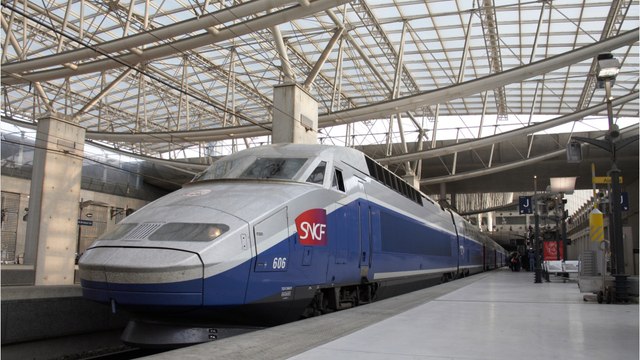 Une adolescente de 14 ans meurt percutée par un TGV, sa mère en état de choc après avoir vu la scène