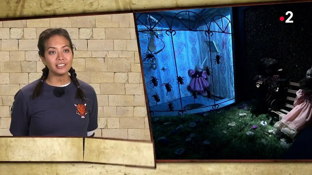 Vaimalama refuse une épreuve de Fort Boyard et choque les internautes.