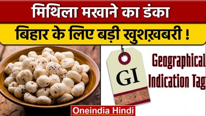 Mithila Makhana GI Tag: लंबा इंतजार खत्म, मिथिला मखाने को मिला जीआई टैग | वनइंडिया हिंदी | *News