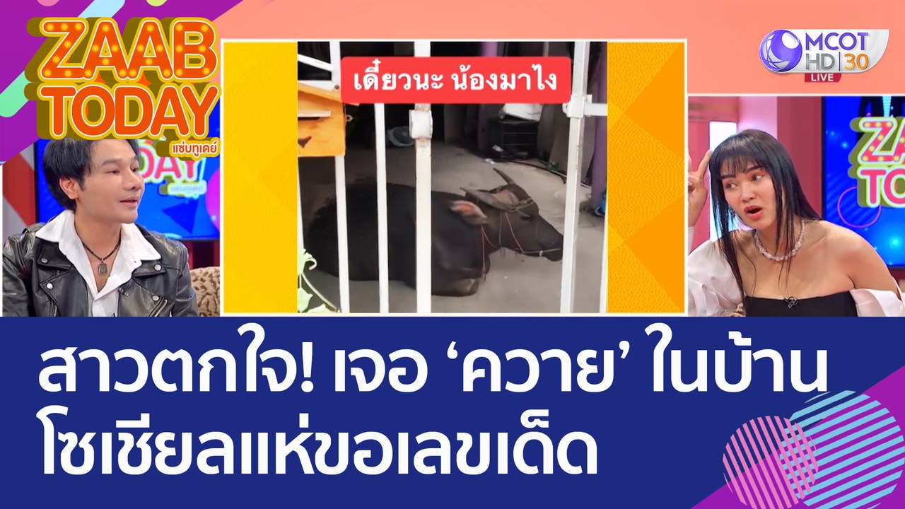 มาได้ยังไง? สาวตกใจหนักมาก เจอ 'ควาย' เข้ามานอน...