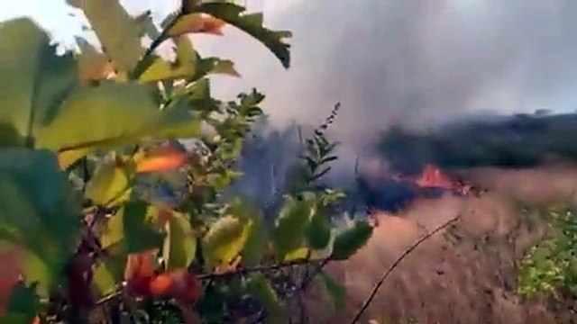 Ação de brigadistas em Incêndio em Nova Russas
