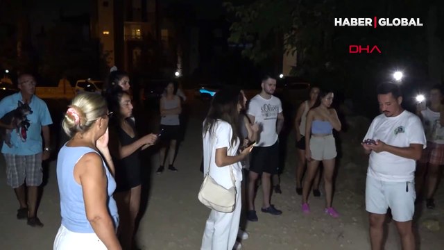 Antalya'da korkunç olay: Muratpaşa'dan sonra bu kez Konyaaltı'da 9 köpek ölü bulundu, çok sayıda köpek kayıp