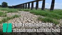 Calor y sequía inéditos en décadas siguen azotando China