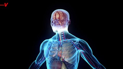 Types of Stress That Are Aging Your Immune System