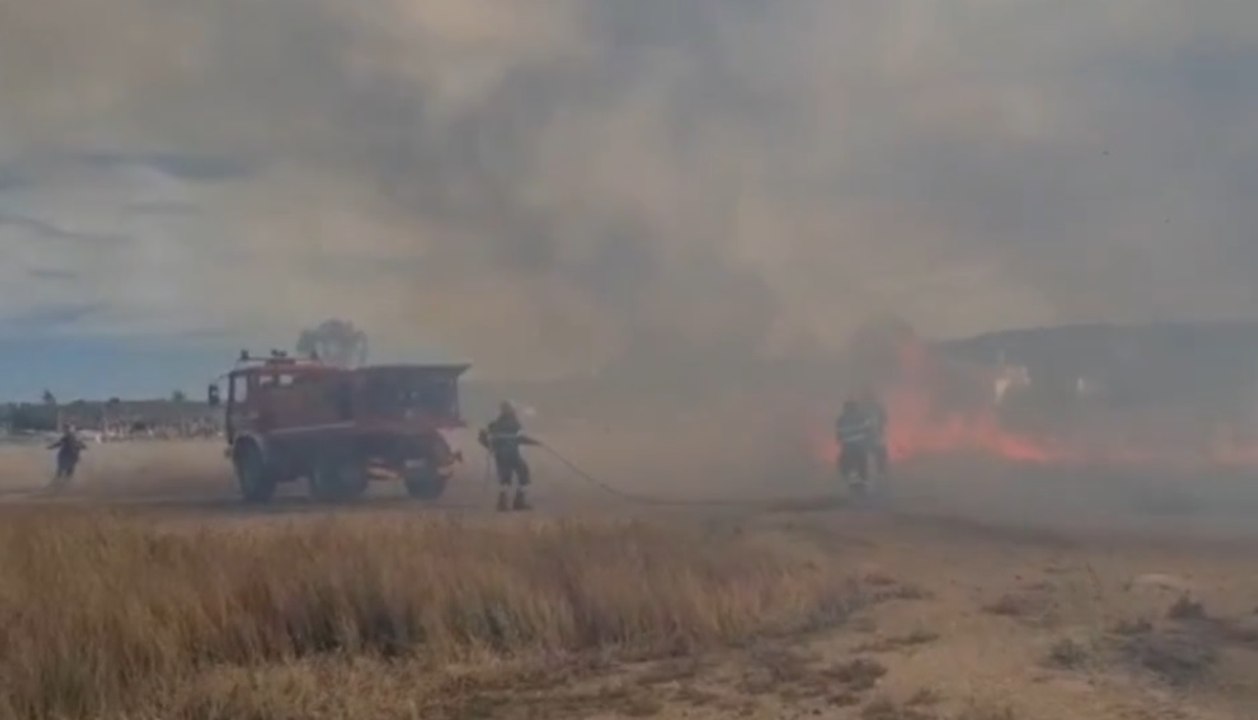 Olbia (SS) - Incendio vicino spiaggia Pittulongu (22.08.22)
