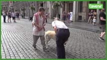 La police de Bruxelles adopte Lucky, un chien de confidence