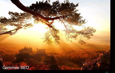 Share Data. Earn Money. Change Your World.