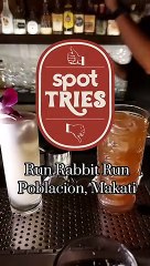 Spot Tries: Run Rabbit Run