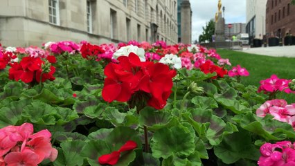 Best famous local heroes for Leeds: Who comes out on top?