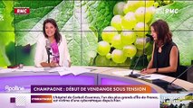 Arnaud Demanche a inauguré la chronique humour d'