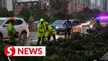 Eight cases of fallen trees after heavy rain and strong winds in KL, six cars crushed