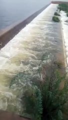 भादोंं में बादलोंं ने गाया सावन का तराना