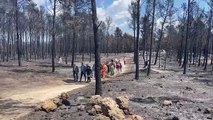 El Gobierno declarará zona catastrófica los territorios afectados por los grandes incendios