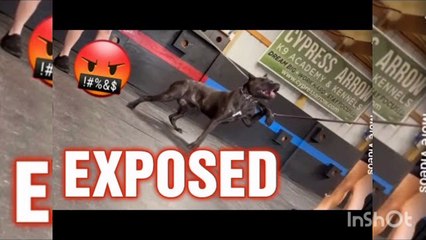 Louisiana mother and daughter charged with animal cruelty after dog training video surfaces online