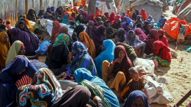 US buying Ukraine grain shipments for African regions on brink of starvation, UN says