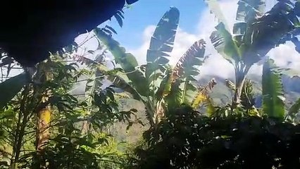 Impactos de bala en el Cauca 2