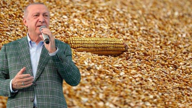 Son dakika! Cumhurbaşkanı Erdoğan mısır alım fiyatını açıkladı: Destek hariç ton başına 5.700 lira olarak uygulayacağız
