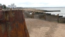Whitstable businesses say sewage pollution is destroying their livelihoods