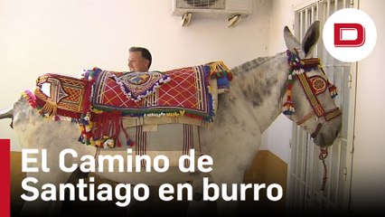 Seis burros andaluces recorren el Camino de Santiago «sin altercados»
