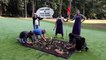Des militants écologistes plantent un potager sur un terrain de golf dans les Yvelines