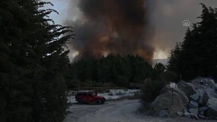 VİLA REAL - Portekiz'deki orman yangınları