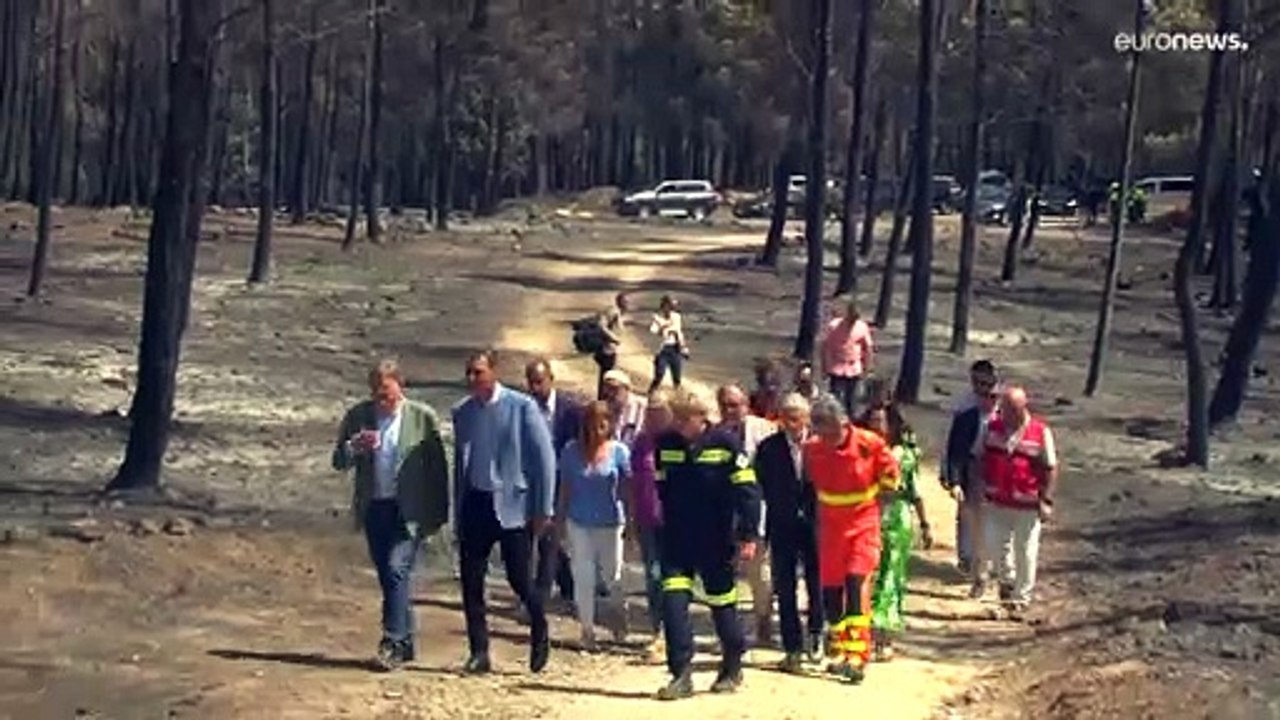 Riesige Aschefelder: 223 000 Hektar Land in Spanien verbrannt