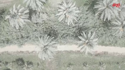 تقرير اليوم: الأرض تتصحر والماء يتبخر